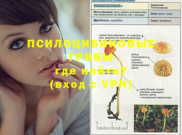 синтетический гашиш Карпинск