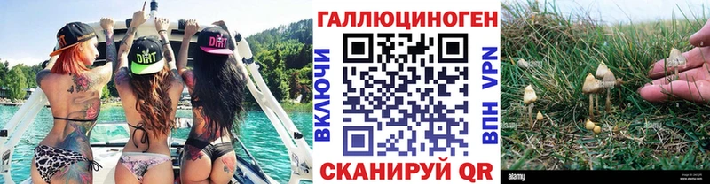 Галлюциногенные грибы прущие грибы  omg зеркало  Нестеровская 